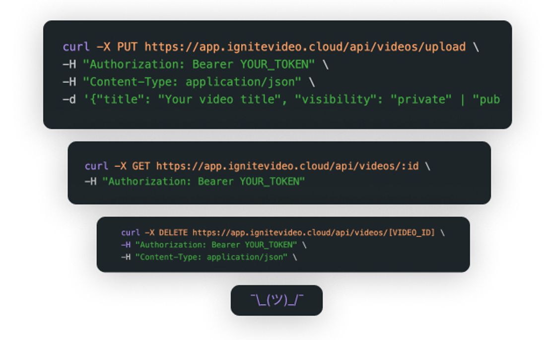 API Code Beispiele über die Ignite API