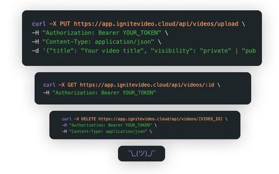 API Code Beispiele über die Ignite API