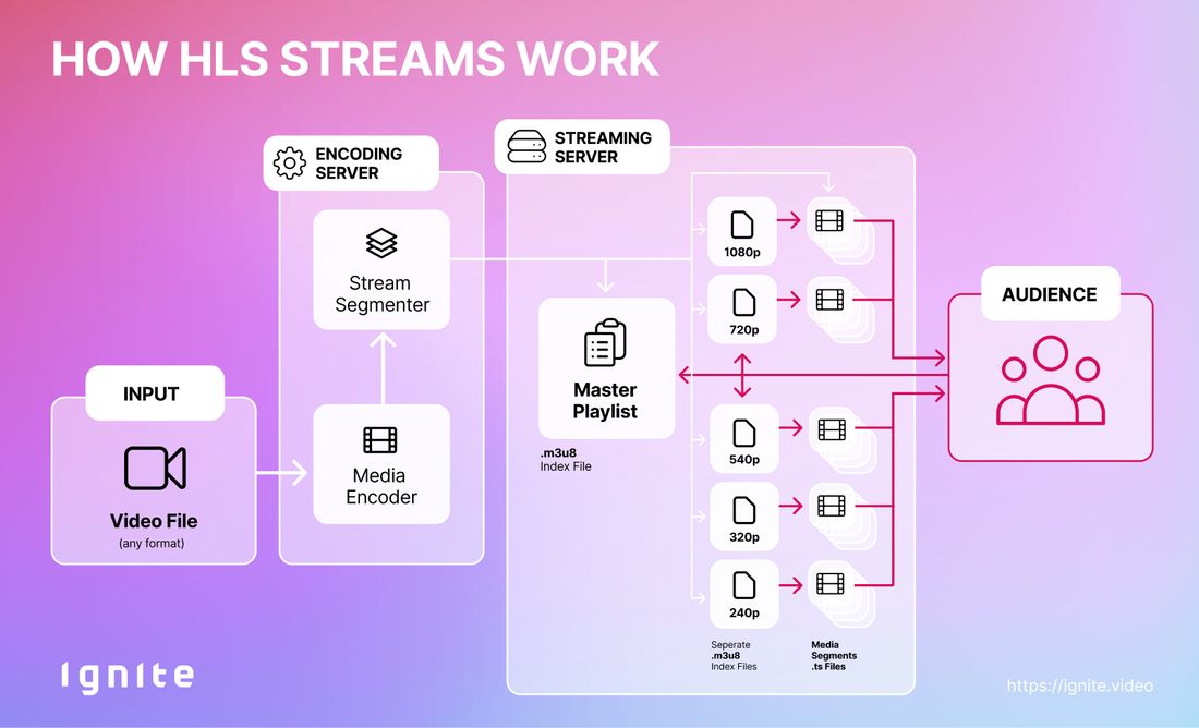 Grafik wie HLS Streams funktionieren. Vom Video-Input über den Encoding-Server (.m3u8 Dateien, .ts Dateien ... ), den Streaming-Server bis hin zur Zielgruppe. 