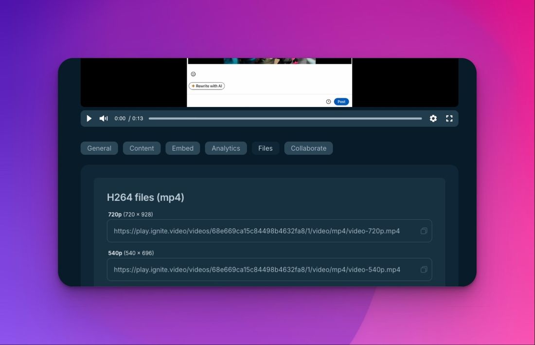 Zugang zu den Video-Dateien im Ignite Backend