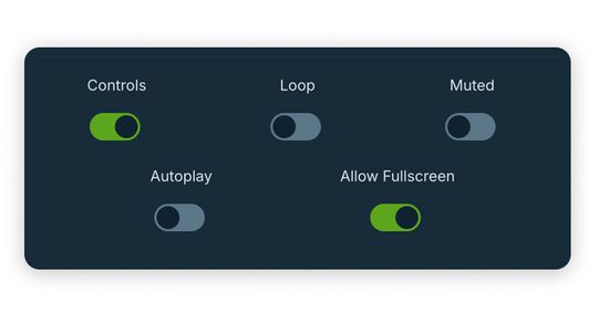 Screenshot aus dem Ignite Backend: zeigt welche Optionen es bei der Integraiton gibt (ohne Controls, Autoplay, Stumm, ... )