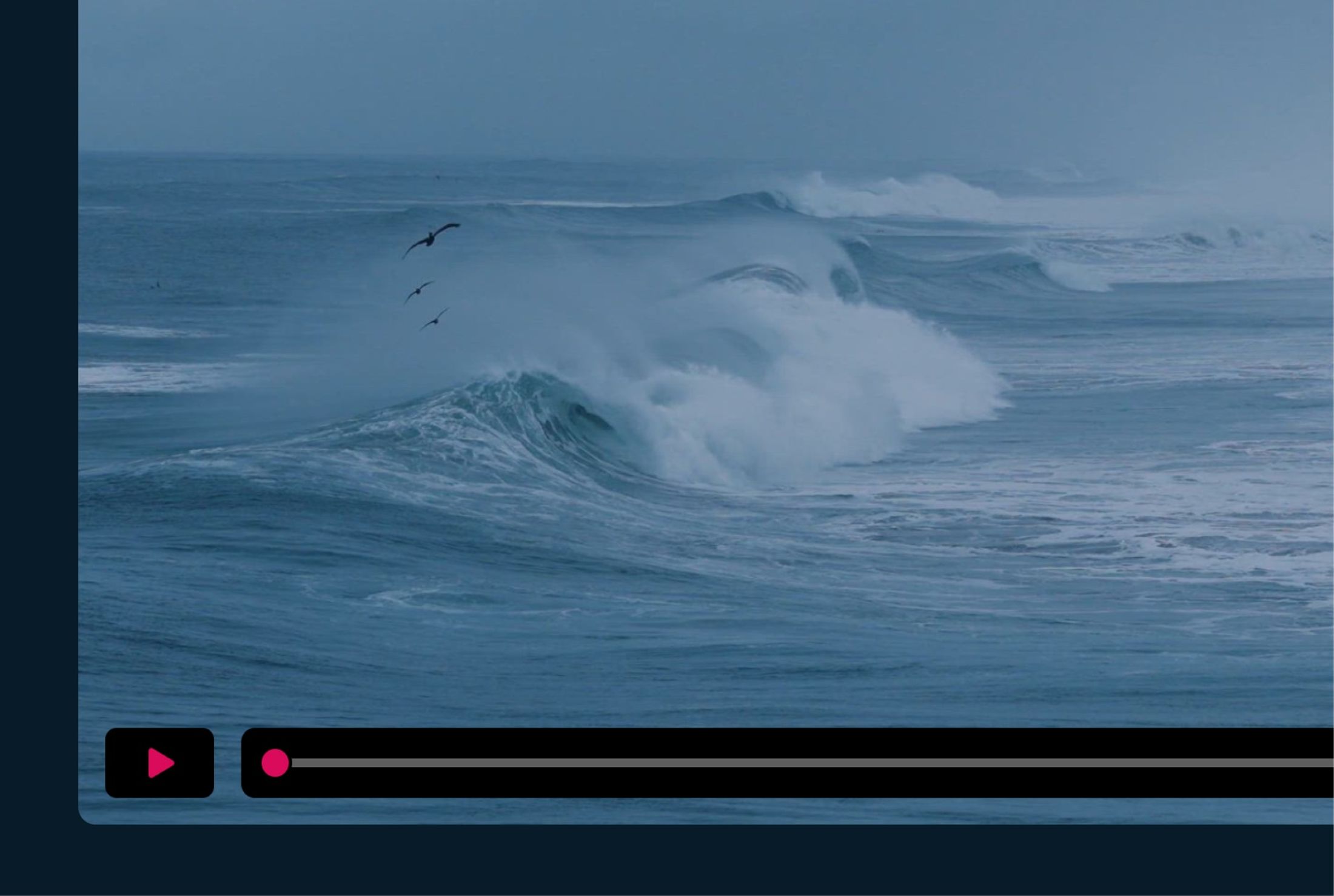 Preview of the Ignite Video Player 